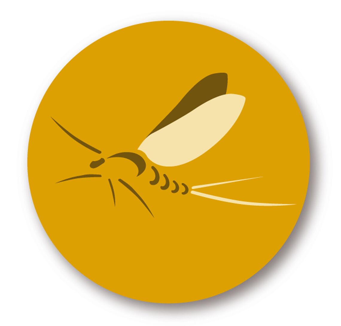 Fliegenfischen
